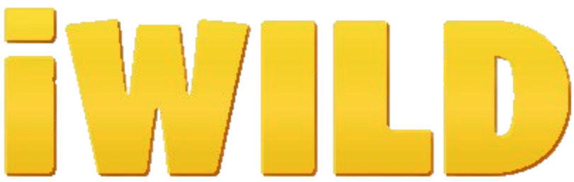 iiwildcasino